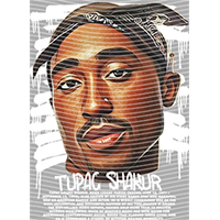 idol singer-GS  1901